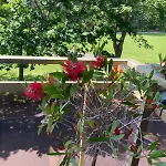 Apartman Au Albert, 4 Pers, Old Town, High Standing *