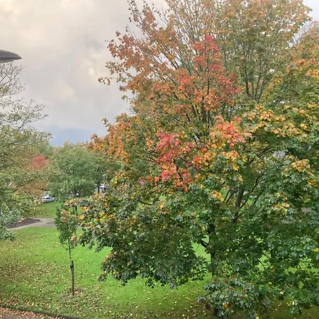 شقة Au Albert, 4 Pers, Old Town, High Standing *