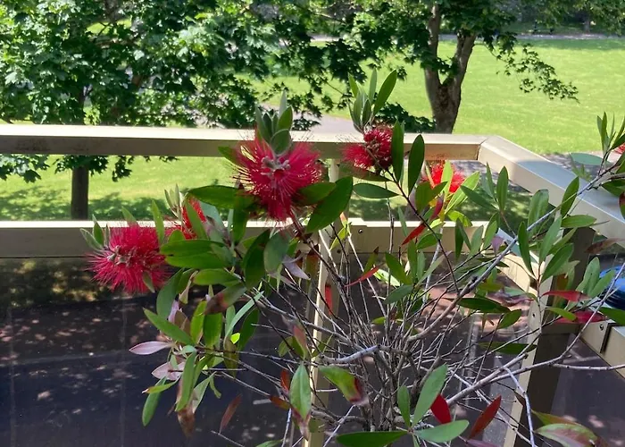 Apartment Au Albert, 4 Pers, Old Town, High Standing *