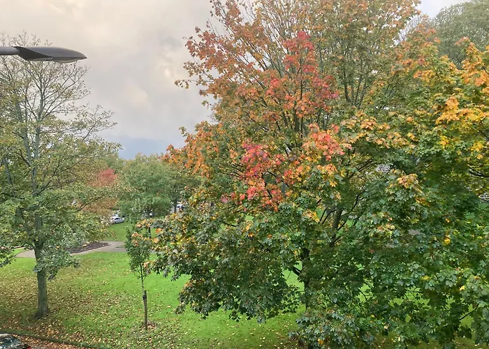 Apartment Au Albert, 4 Pers, Old Town, High Standing *